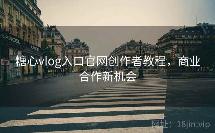 糖心vlog入口官网创作者教程，商业合作新机会